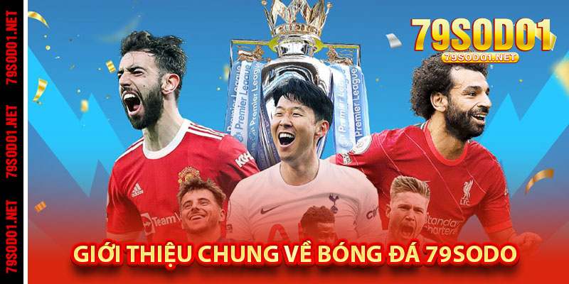 Giới Thiệu Chung Về Bóng Đá 79Sodo